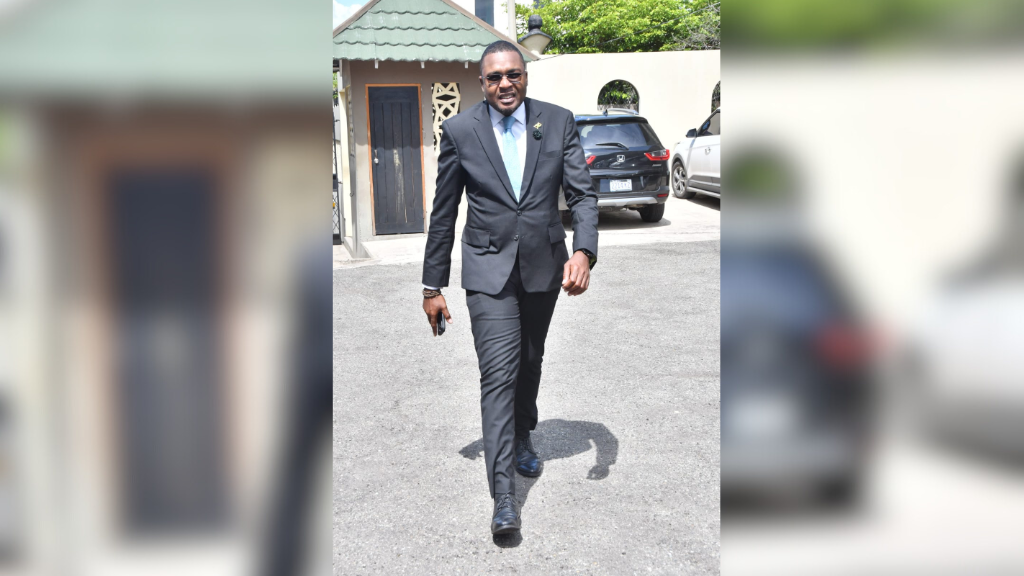 Morgan named new Parliamentary Whip