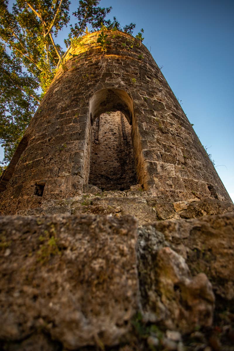 Tobago’s failure: not enough whites