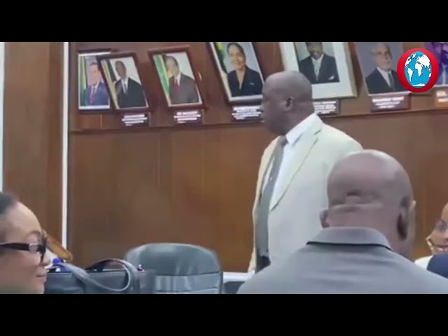 ‘A bullfrog the Epworth people dem up there a drink,’ says PNP councillor