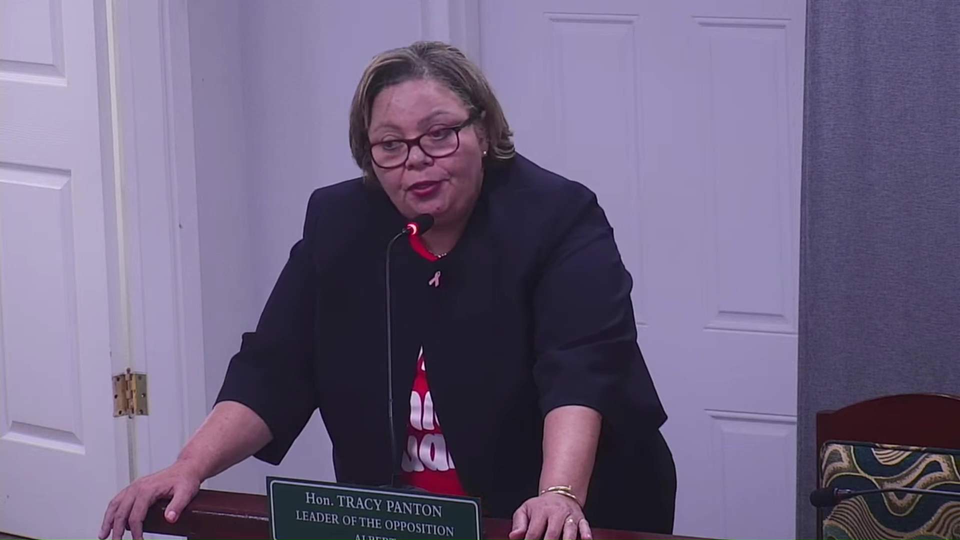 Opposition Questions Tax Breaks in Share Sale; Small Businesses Left Out?