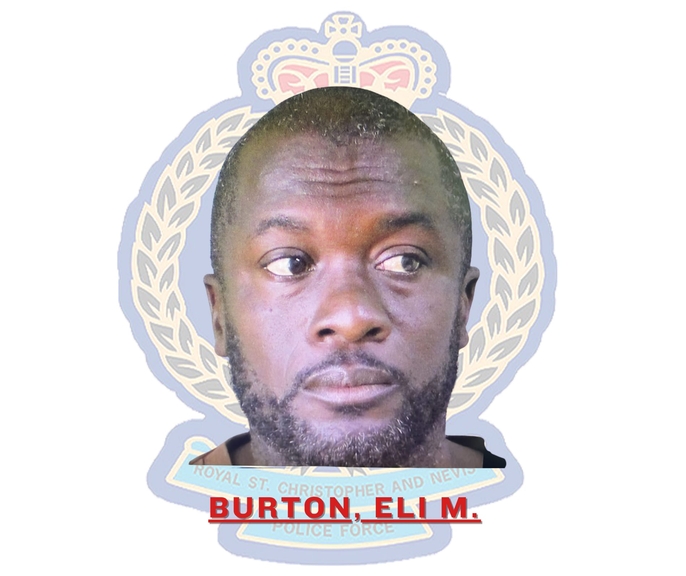 Dominican fined for importing marijuana