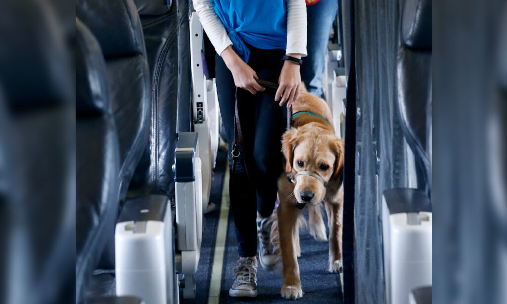 EU court rules dogs are same as baggage for airline liability