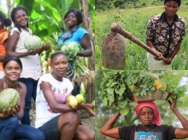 Agriculture : More than 70% of farmers in Haiti are women