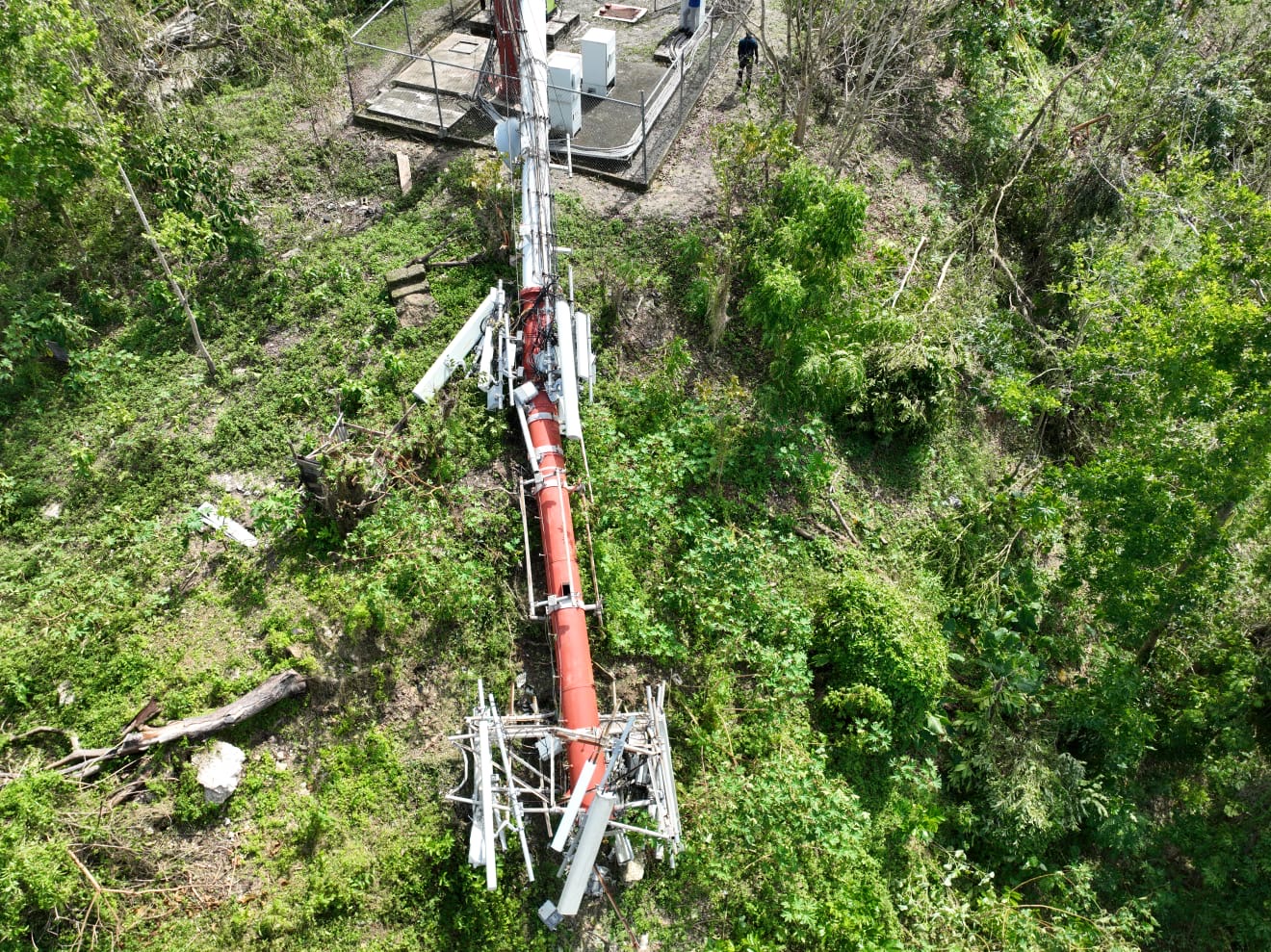 Liberty Caribbean Foundation mobilises relief for Jamaica