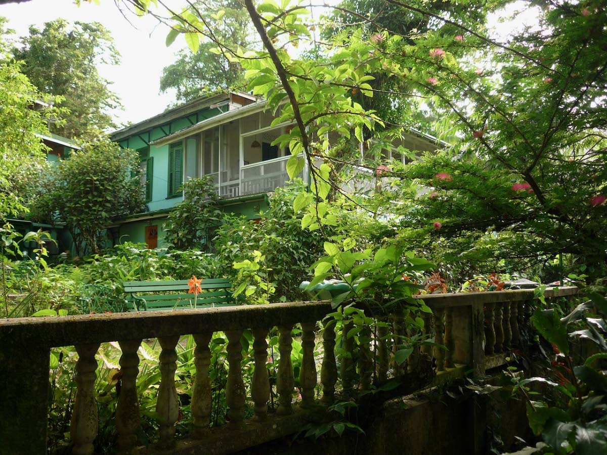 In the heart of the rainforest