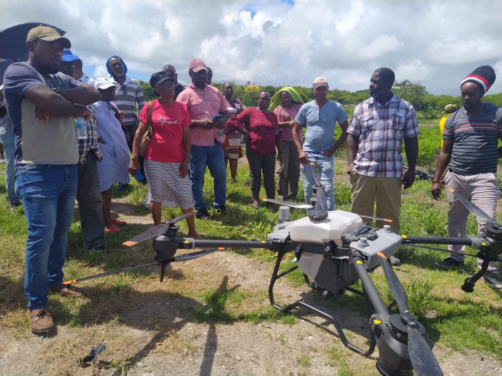 FAO Launches Digital Agriculture Workshop to Boost Horticultural Crop Management