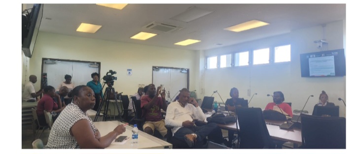 IICA and FAO convene regional conference on advancements in sweet potato cultivation to enhance food security and climate adaptation