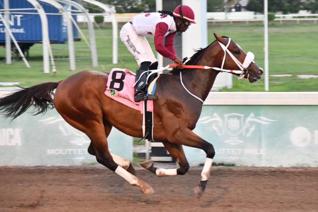 Watson, DaCosta dominate with four winners at Caymanas Park