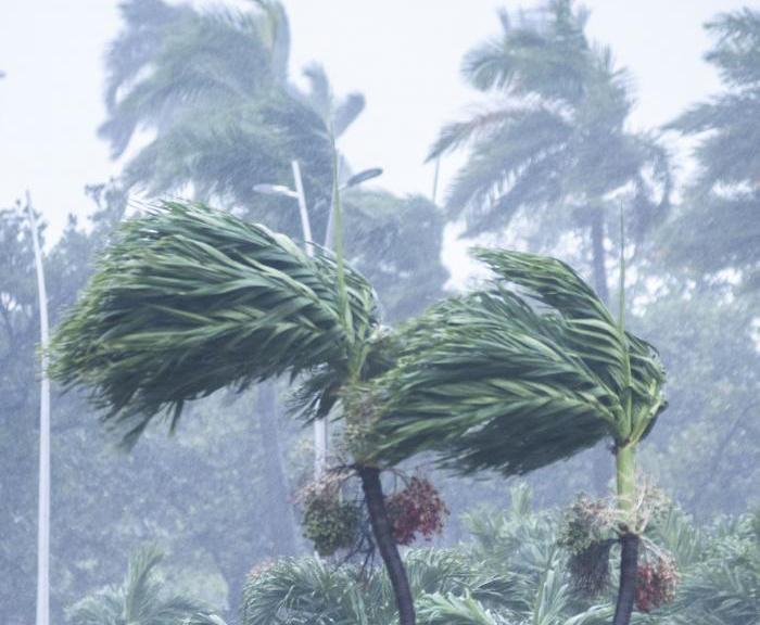 Faced with the imminent impact of Melissa, be alert, show solidarity, and remain disciplined