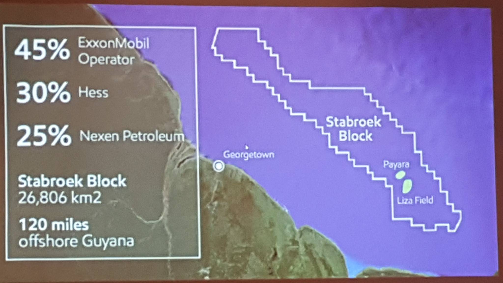 Eco-Atlantic says Hammerhead may fuel heavy oil build out offshore Guyana