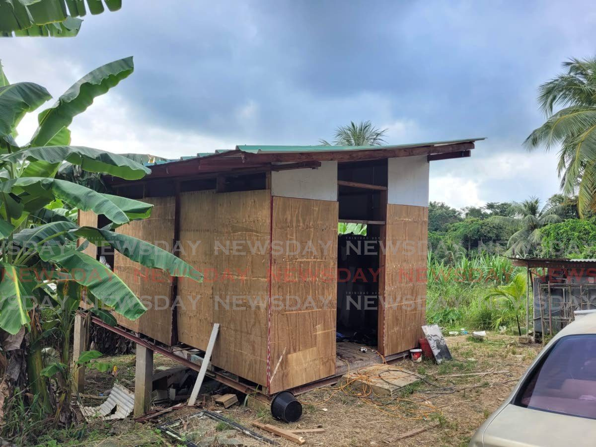 Second victim, 16, dies after Brasso shooting