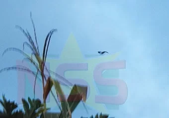 Warm en licht wisselvallig weer