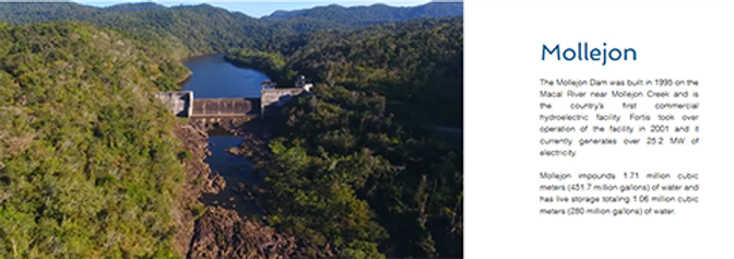 Government to Buy Fortis Assets; Opposition Demands Transparency