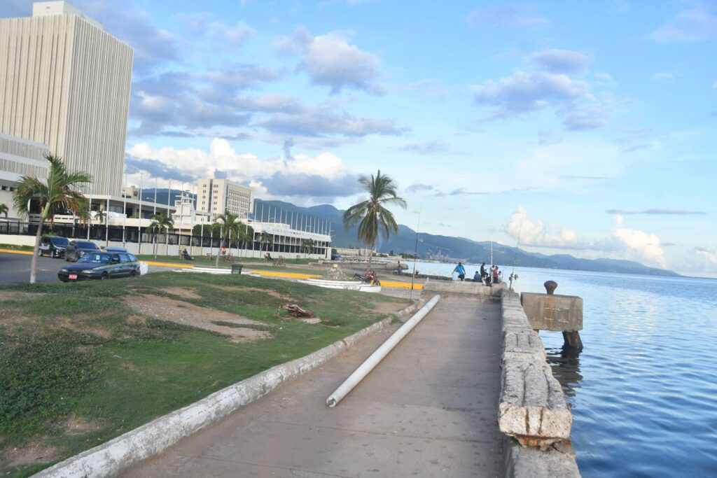 Vacancy tax on idle properties proposed as part of waterfront’s economic revival