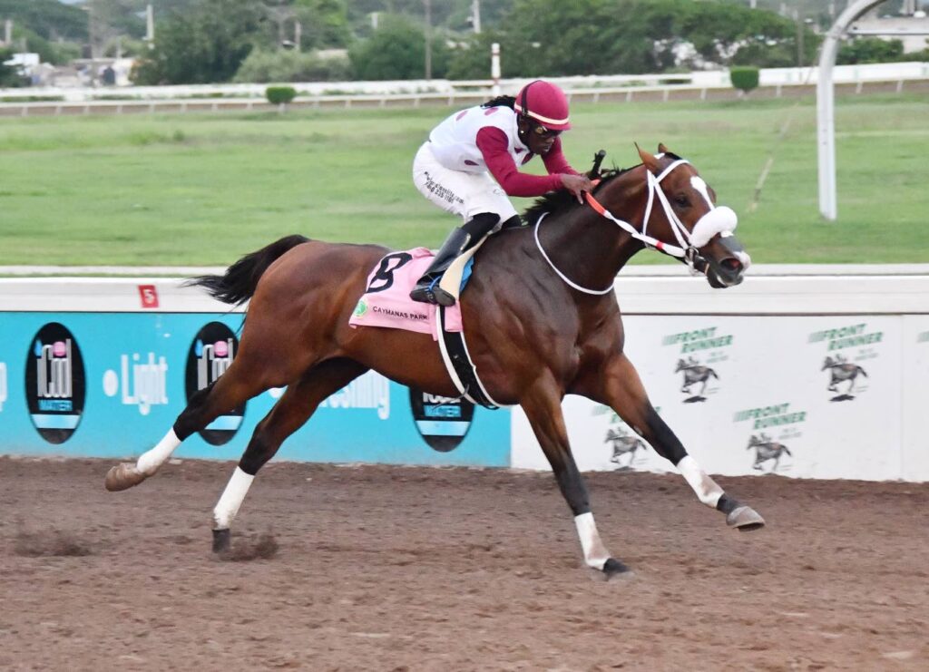 Trainer Jason DaCosta unearths promising talent in foreigner Dothraki