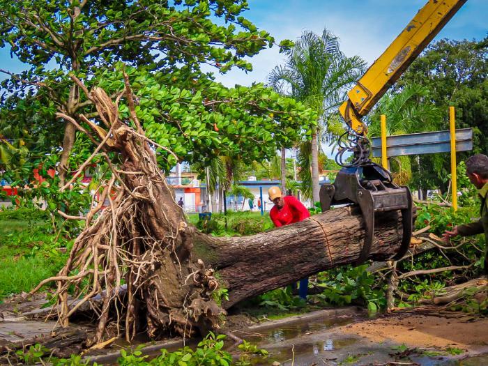 Two Cuban victories for life
