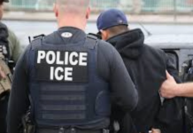 ICE nabs illegal Haitian immigrant allegedly connected to criminal terrorist organisations