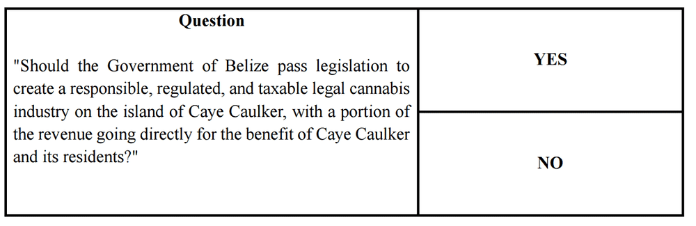 Caye Caulker to Vote on Marijuana Industry Referendum