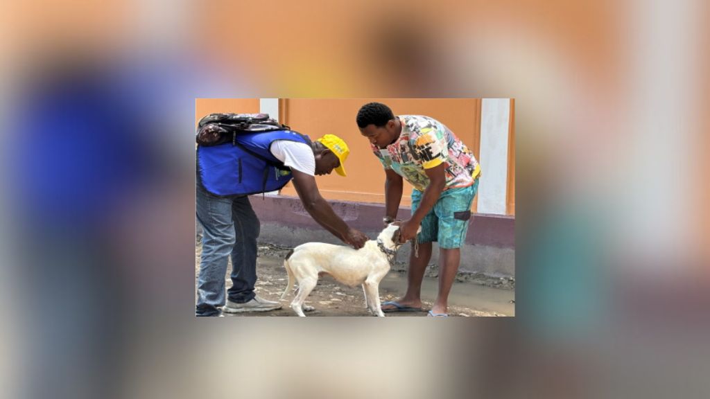 Haiti battles rabies with vaccines and vigilance