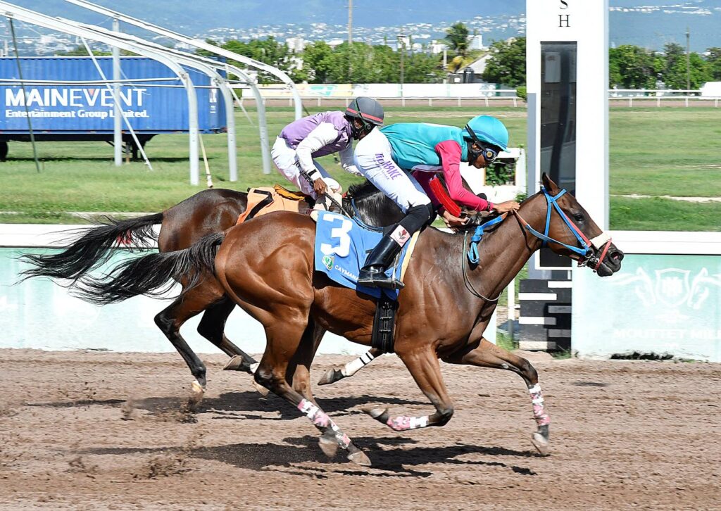 Raddesh Roman hits 100th winner of the season