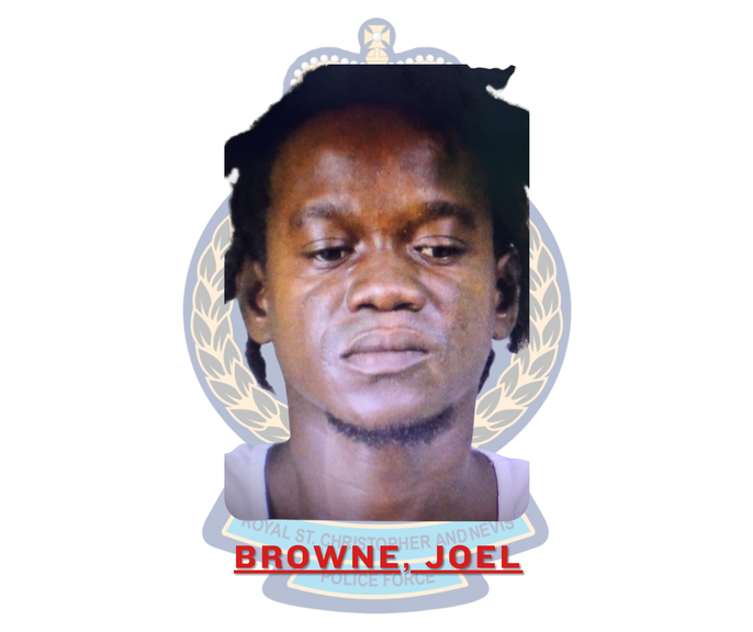 Police seize firearm and ammunition during search in Christ Church