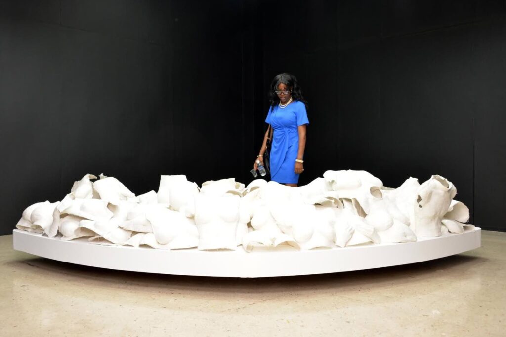 ‘One Nation, New Symbols’ exhibition opens at National Gallery