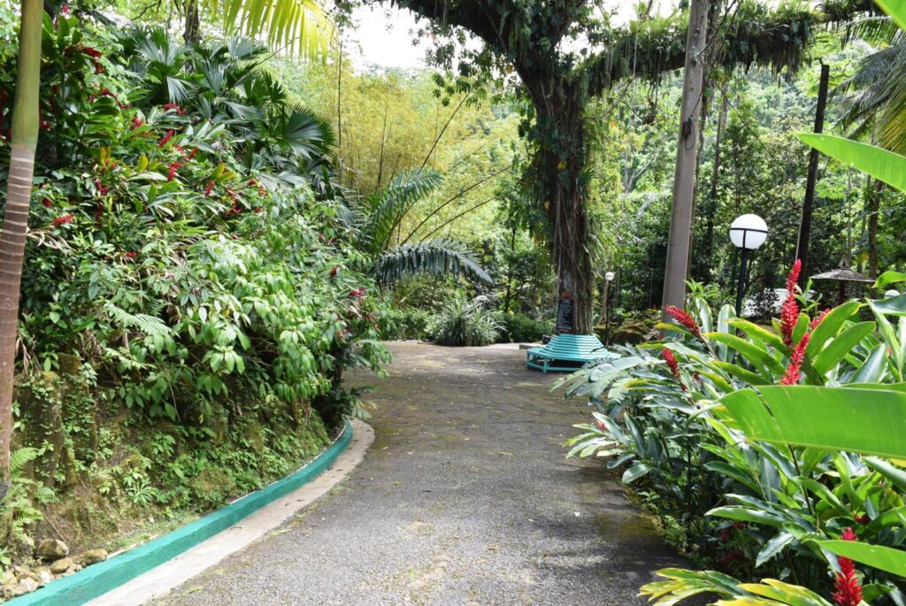 ‘Enjoy Your Jamaica’