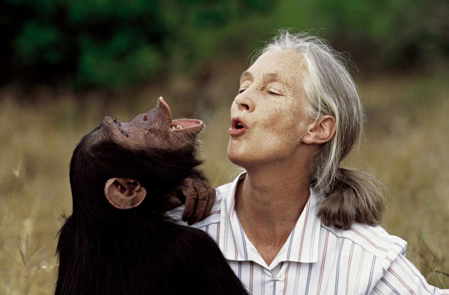 Attenborough and Prince William lead tributes to Dr Jane Goodall