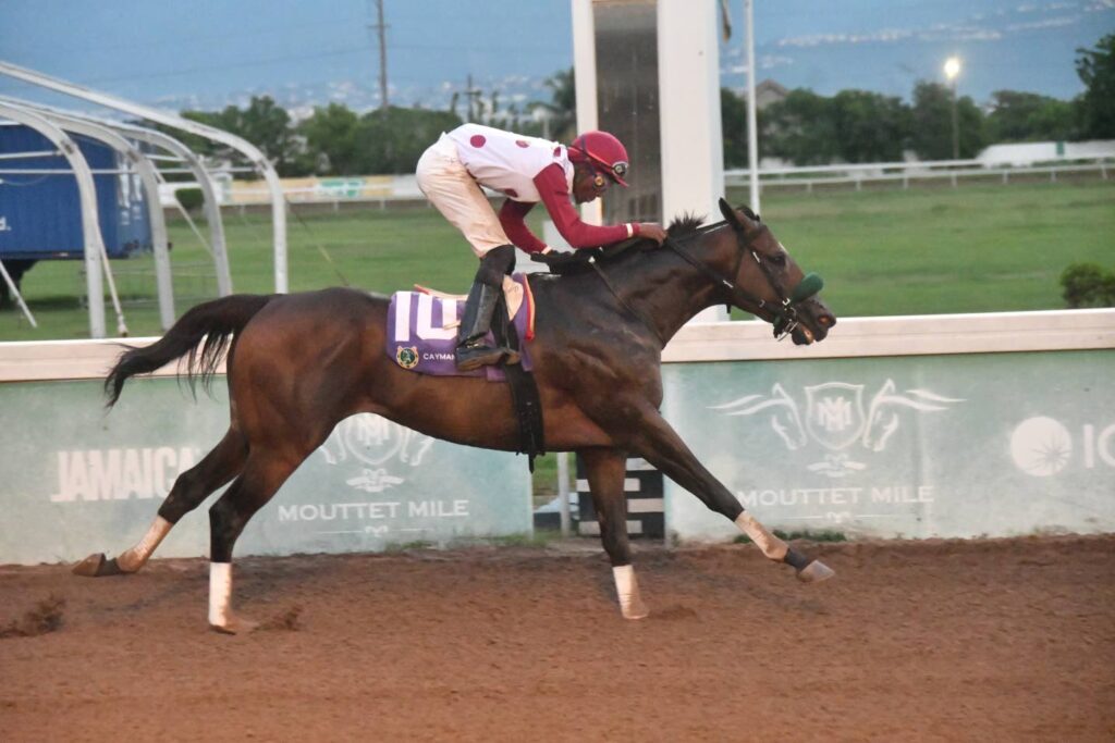 Is That A Fact set for Bruceontheloose Sprint