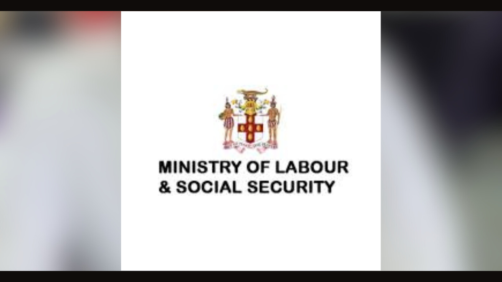 Flooding forces temporary closure of MLSS Harbour Street office