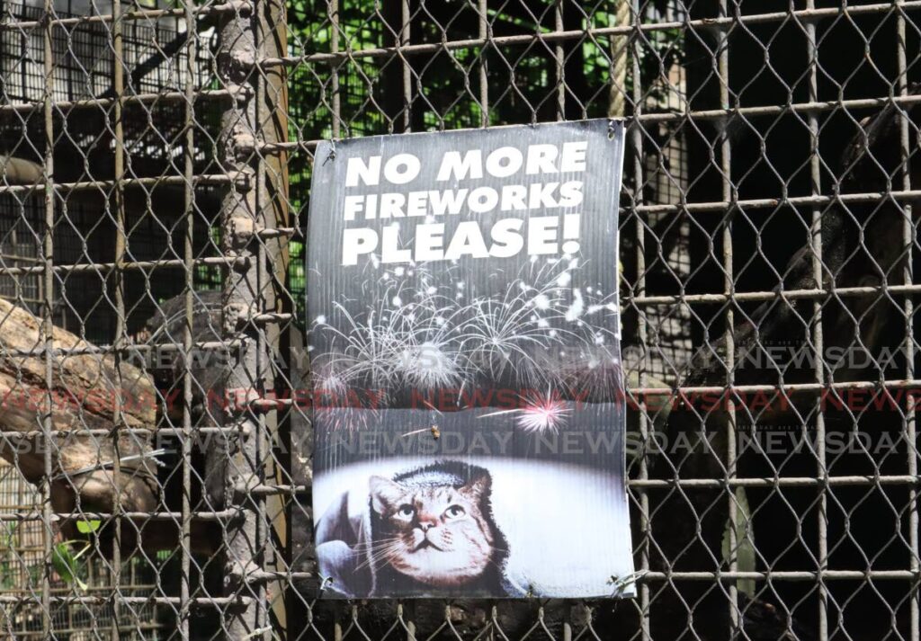 Tax fireworks like cigarettes and alcohol