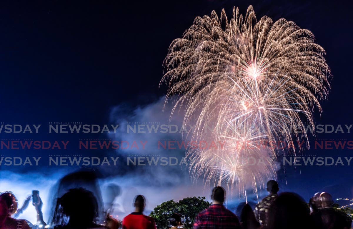 Ban fireworks once and for all