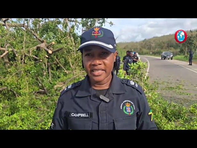 #MelissaAftermath: Trelawny police clear fallen trees after ‘devastating impact’ in parish