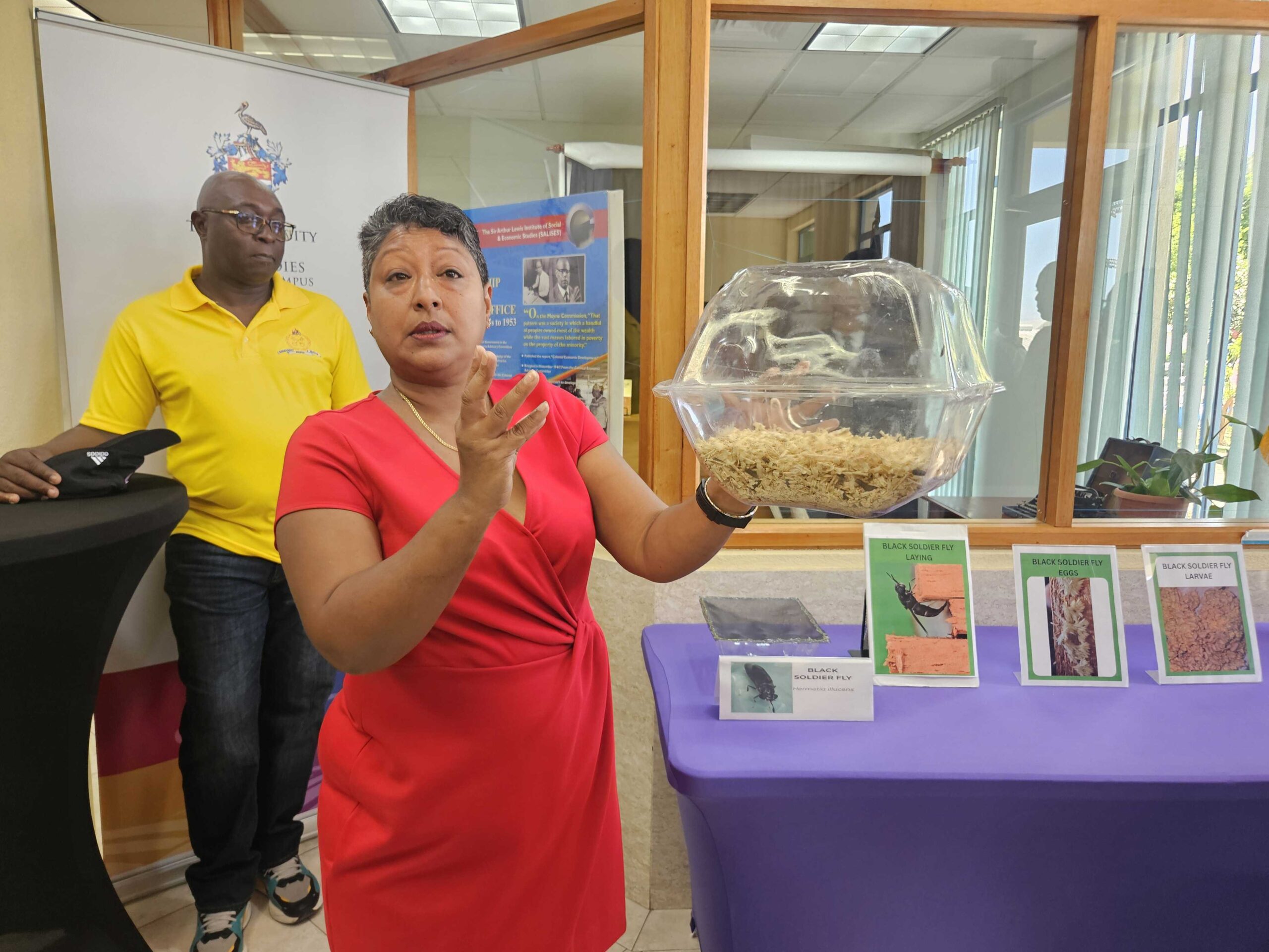 UWI home hydroponics, flies-to-feed projects ‘to help cut food bill, boost farming’