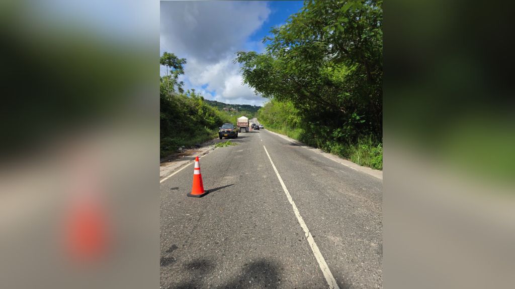 Broken-down trailer slows traffic on Winston Jones Highway