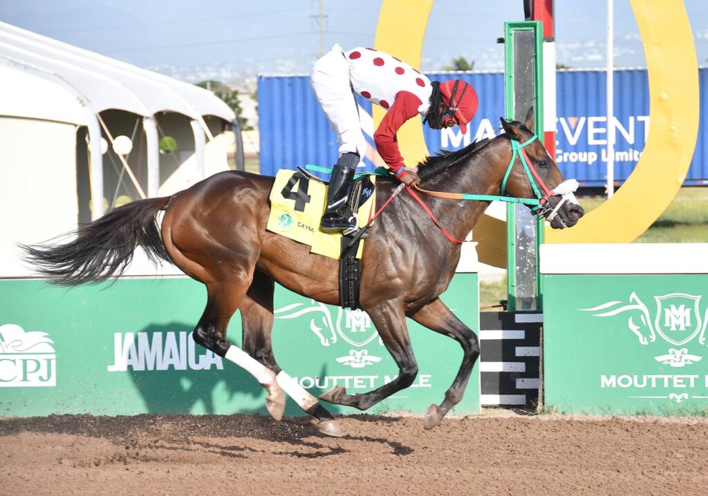 Is That A Fact favoured in ‘Big Sub’ Memorial race