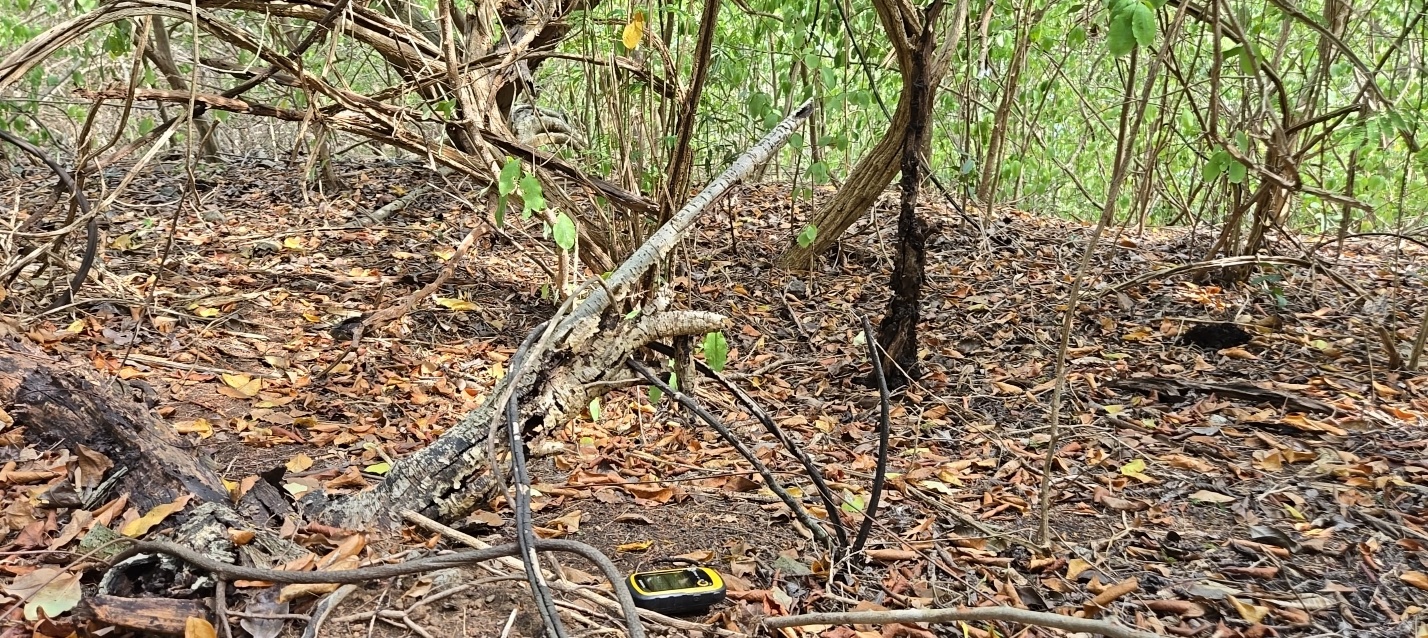 Maurice Bishop’s grave was sold to developers