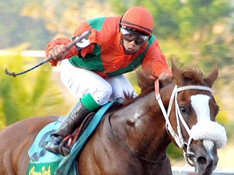 Midnight Flight carries Cardenas to 800th victory