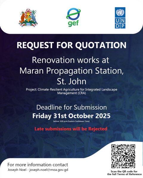 RfQ: Renovation Works at Maran Propagation Station in St John