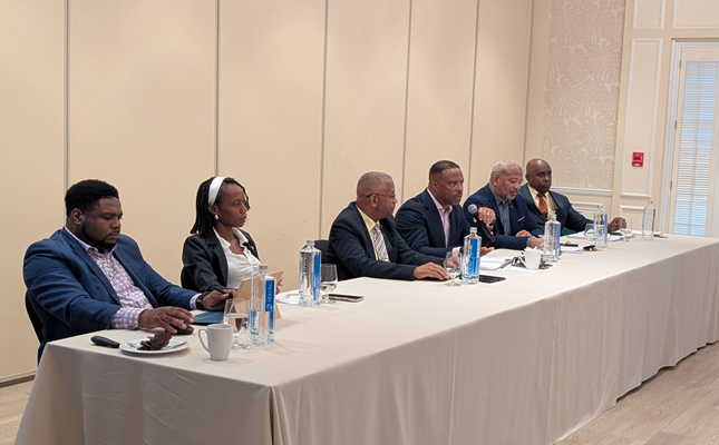 NIA Invites General Public to a Town Hall Meeting on Proposed “Destiny” Special Sustainability Zone Project