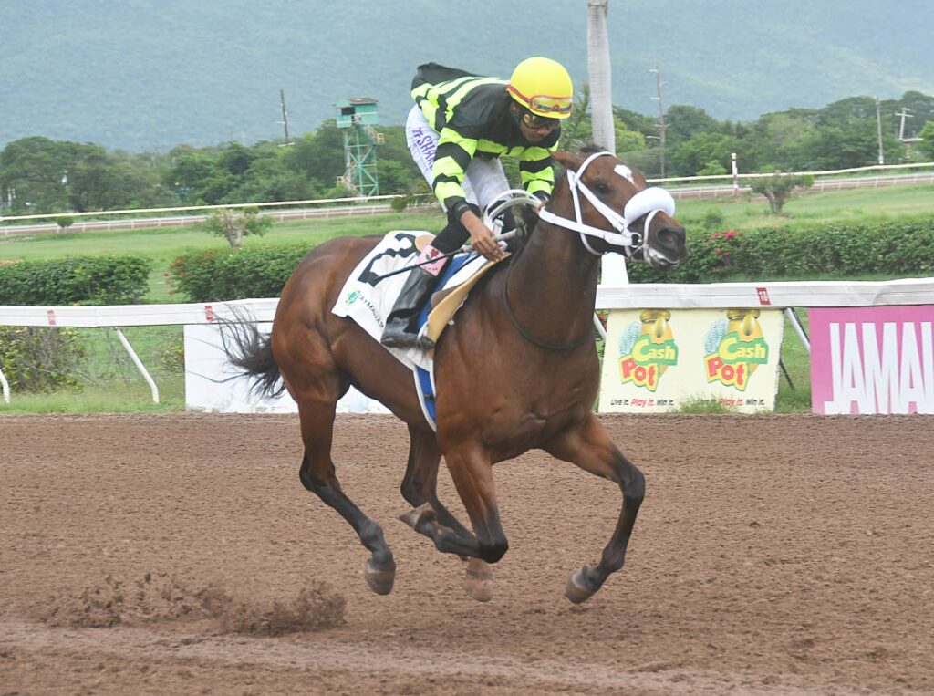 Can anyone stop Sir Don in Princess Popstar Trophy?