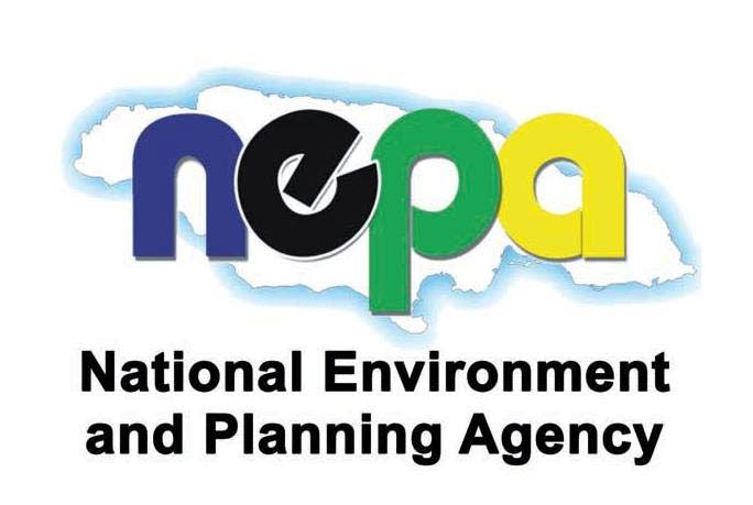 NEPA probes fish kill along Palisadoes strip