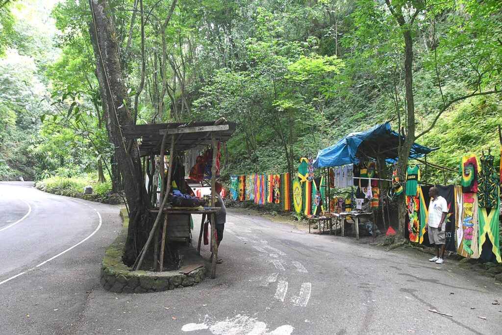 Echoes of  Fern Gully