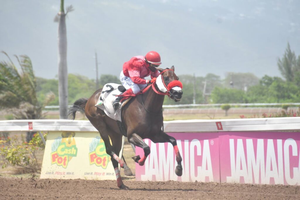 American Aviator to lead home rivals in RonRon Trophy