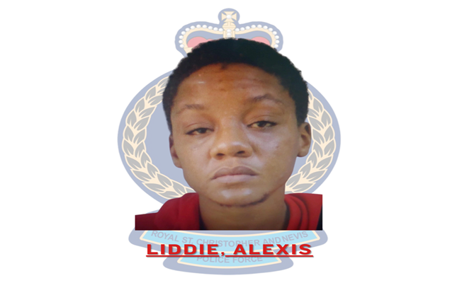 Repeat offender sentenced to prison