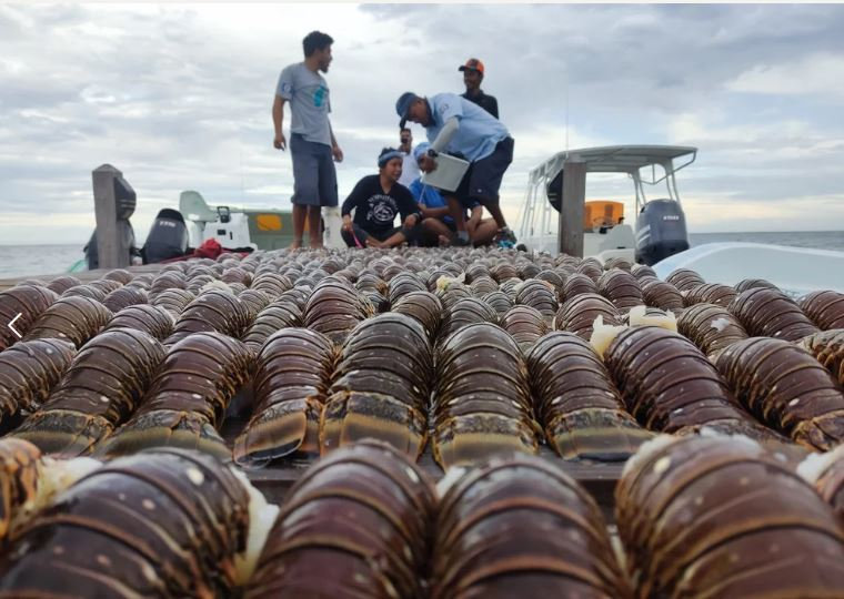 Marine Exports See Boost in August 2025