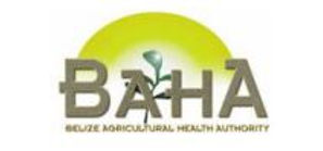 BAHA Warns Against Sale and Import of Unregistered Veterinary Products