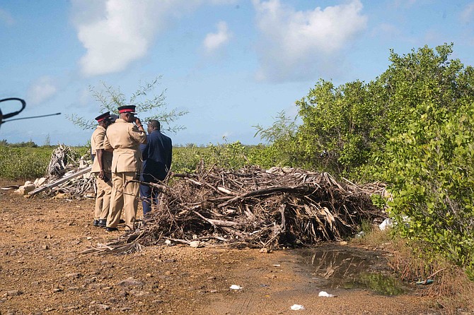 Newborn baby alive after being found in bushes