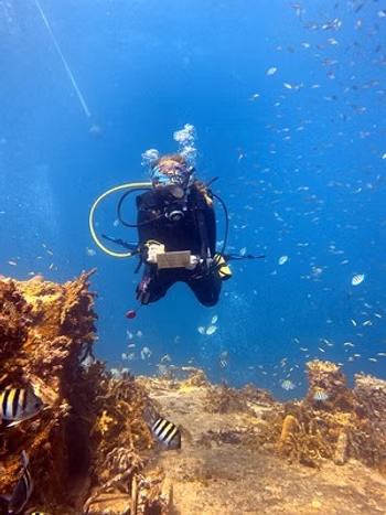 Aquanauts Grenada wins CHTA Coral Reef Tourism Stewardship Award