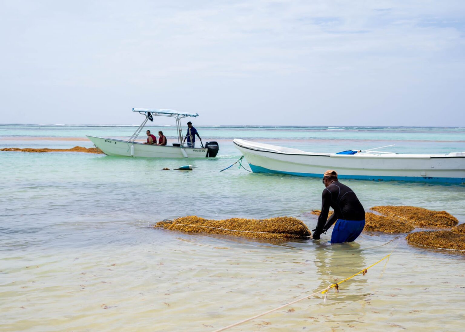 Government to introduce law turning sargassum into economic opportunity